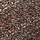 Leopard Chiffon