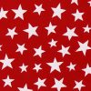 Gallery image thumb for Starry Red Sheer