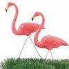 Gallery image thumb for Flamingos