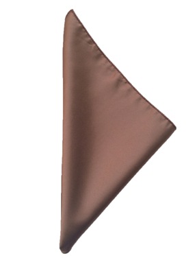 Brown Mystique Satin