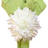 Gallery image thumb for White Dahlia