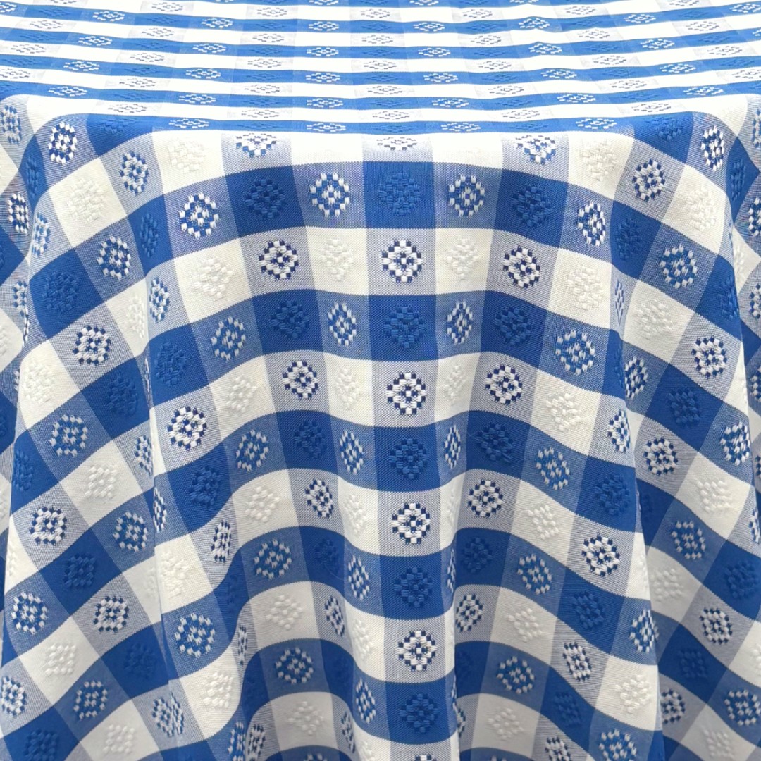Blue & White Check