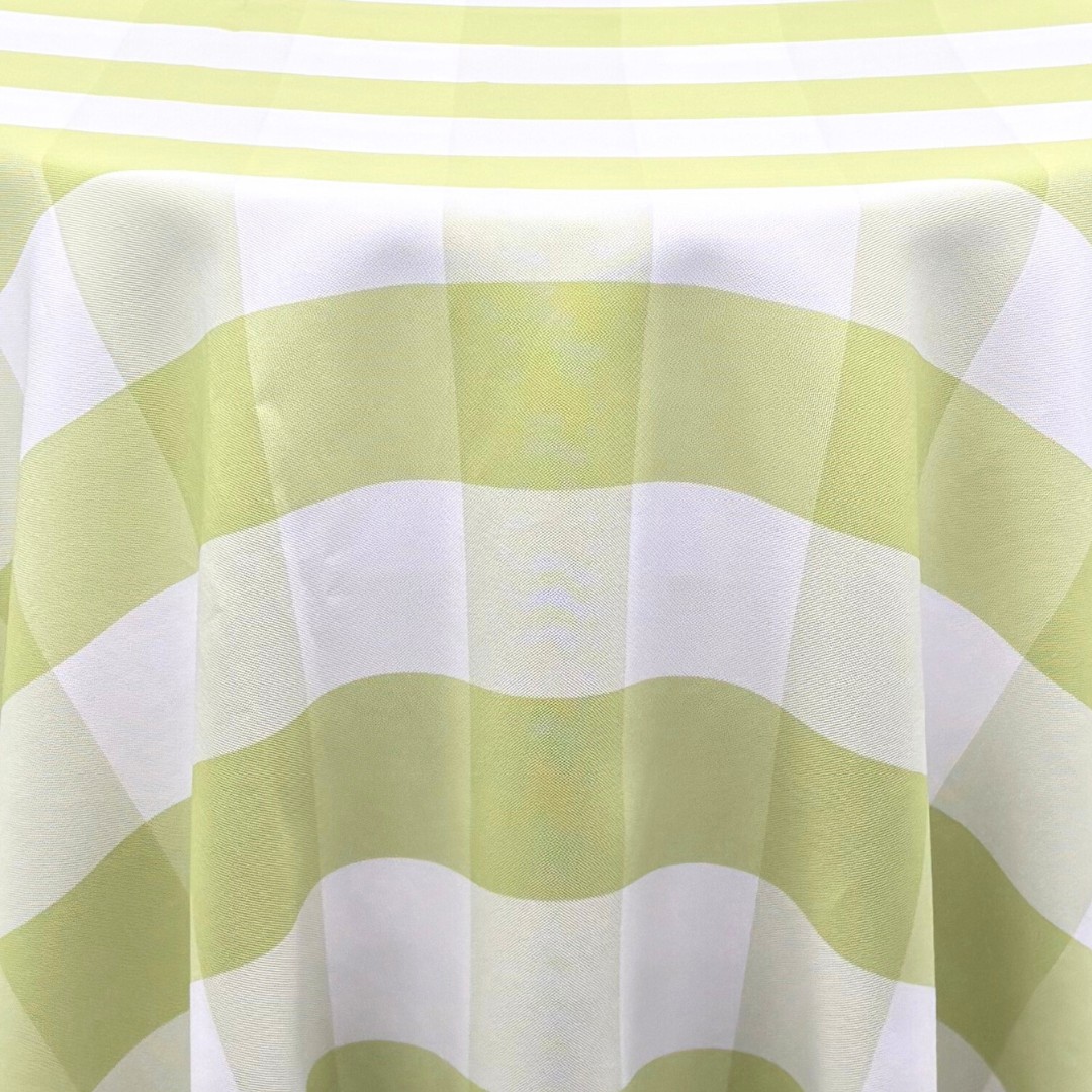 Green & White Kiwi Check Large