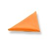 Gallery image thumb for Neon Tangerine
